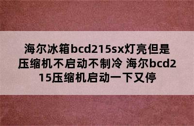 海尔冰箱bcd215sx灯亮但是压缩机不启动不制冷 海尔bcd215压缩机启动一下又停